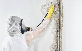 Best Biohazard Mold Removal  in Hartford, AL